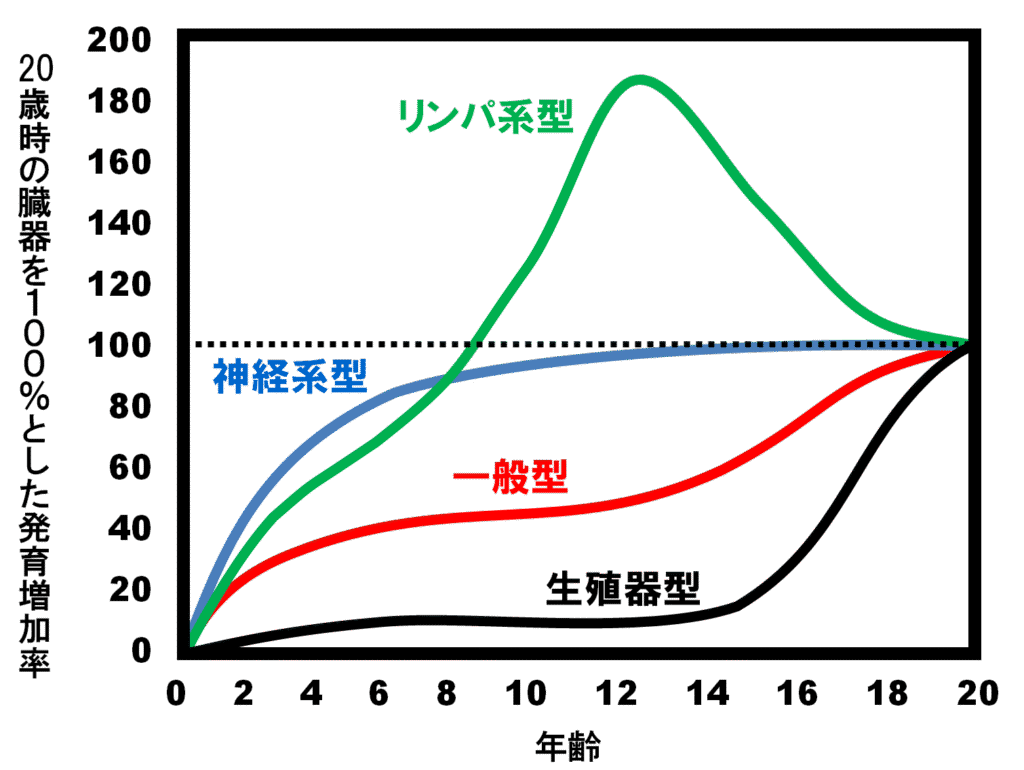 スキャモンの発達曲線